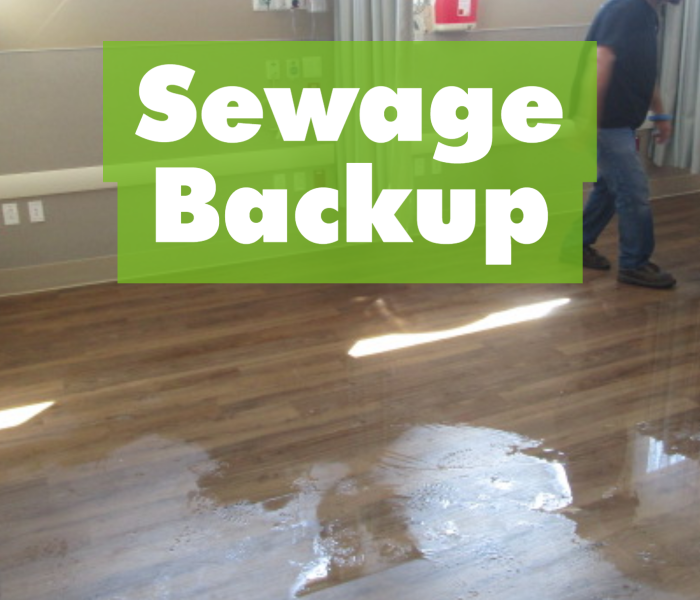 Photo of sewage backup in building on floor