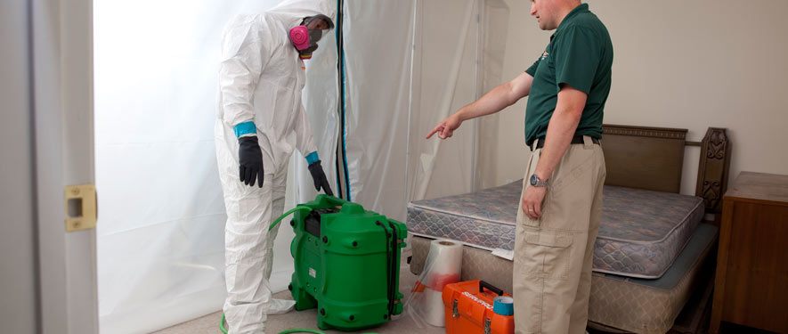 Avondale, AZ mold removal process